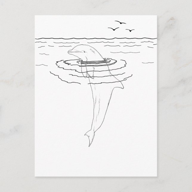 Dolphin Adult Coloring Postcard (Front)