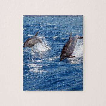 Dolphin Adventure   Jigsaw Puzzle by bonfireanimals at Zazzle