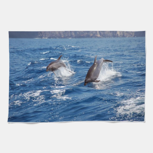 Dolphin Adventure Kitchen Towel (Horizontal)