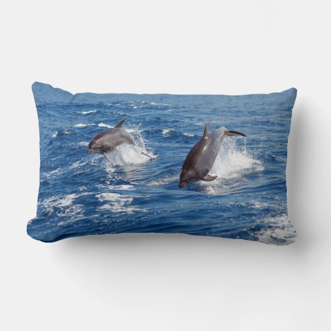 Dolphin Adventure Lumbar Pillow (Front)