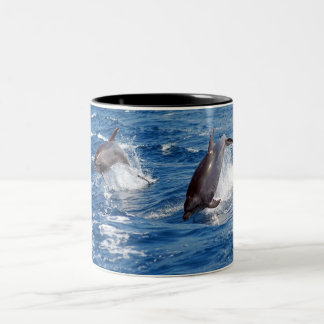 Dolphin Adventure Two-Tone Coffee Mug