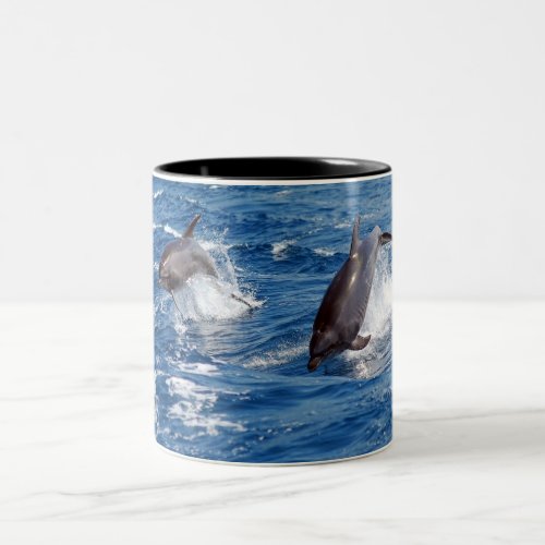 Dolphin Adventure Two_Tone Coffee Mug
