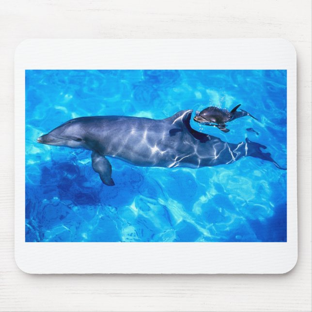 Dolphin and Baby Mouse Pad (Front)