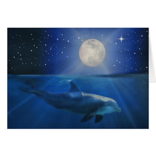 Dolphin and Moon Happy Birthday Card