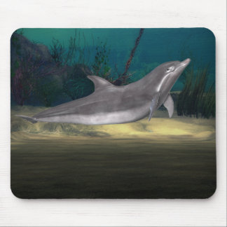 dolphin at play mouse pad