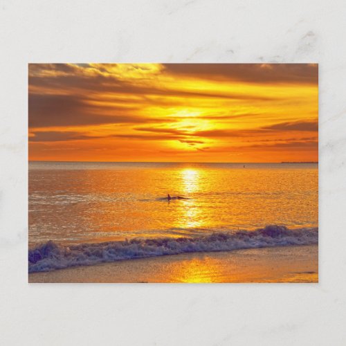 Dolphin at Sunset Fort Myers Beach Florida Postcard