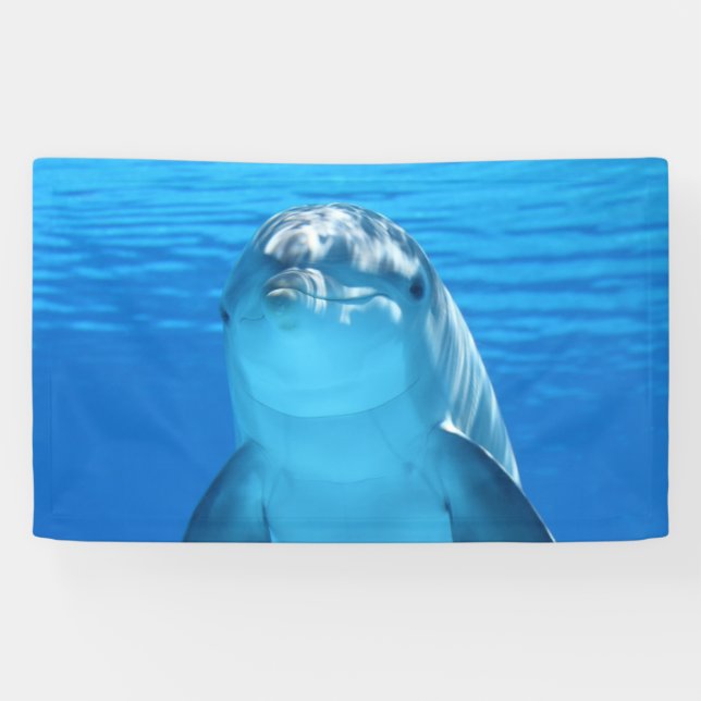 Dolphin Banner (Horizontal)