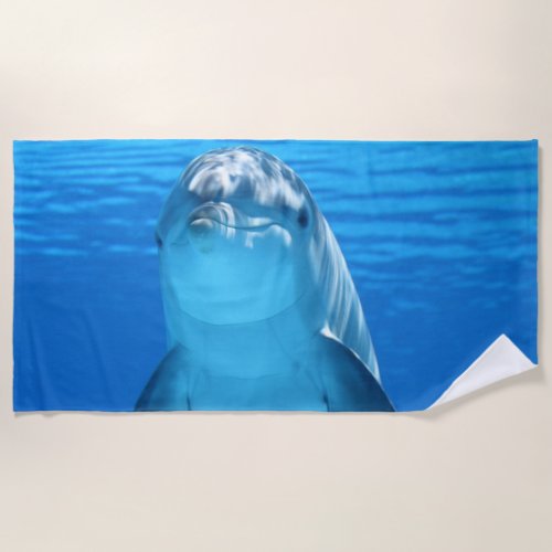 Dolphin Beach Towel