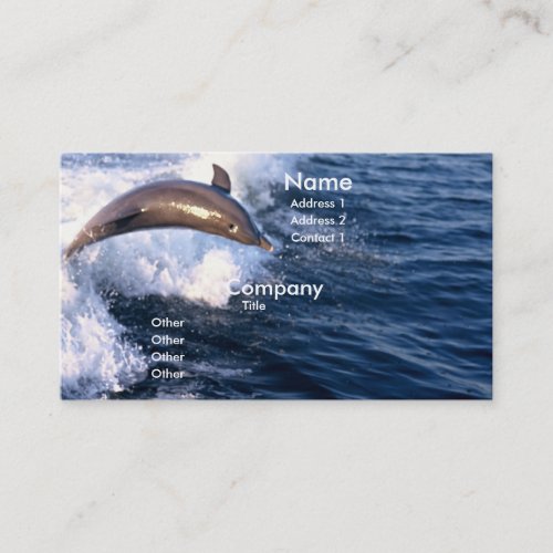 Dolphin Business Card