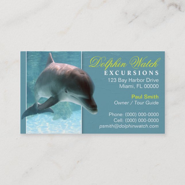 Dolphin Business Card (Front)