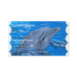 Dolphin Business Card