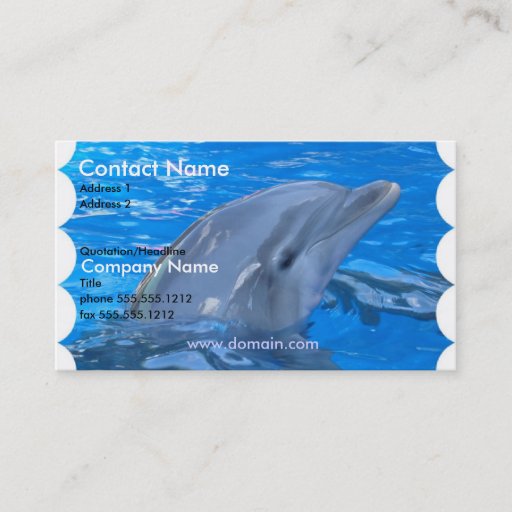 Customizable Dolphin Business Card