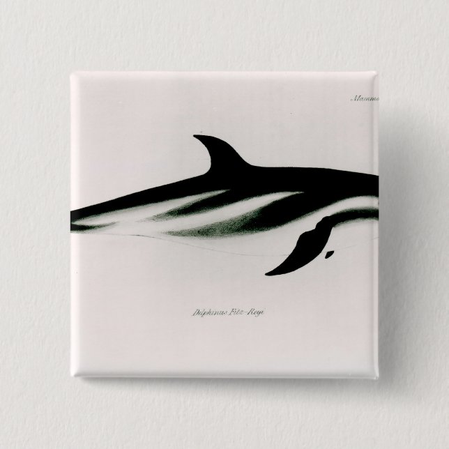 Dolphin Button (Front)