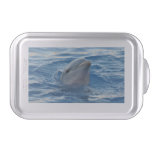 Dolphin Cake Pan