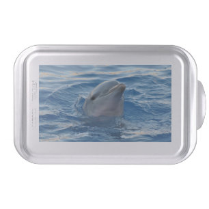 Dolphin Cake Pan