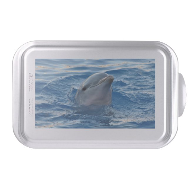 Dolphin Cake Pan (Front)