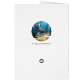 Dolphin Cards (Back)