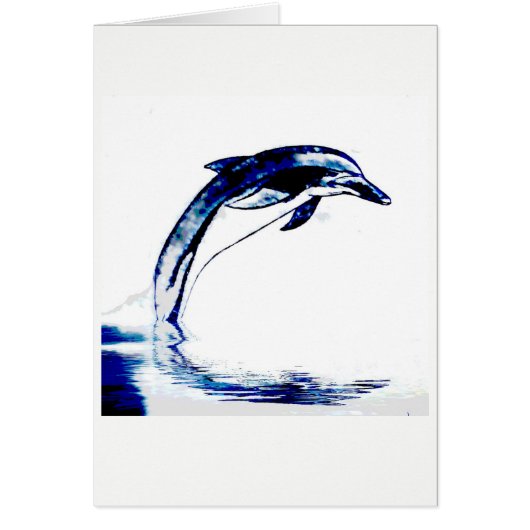 Dolphin Cards (Front)