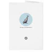 Dolphin Cards (Back)
