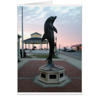 Dolphin Cards