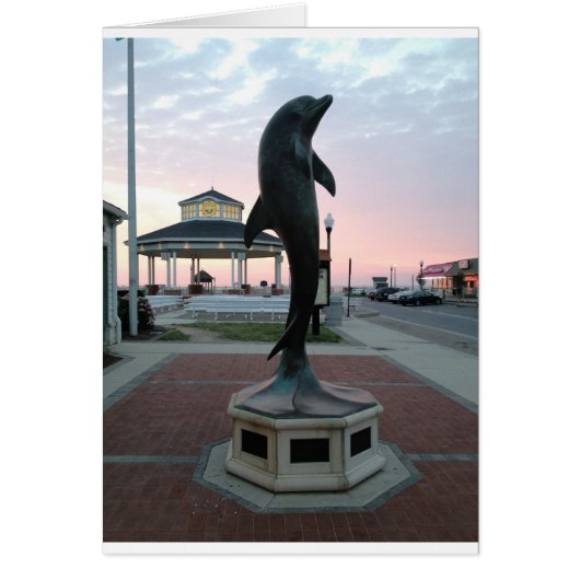 Dolphin Cards (Front)