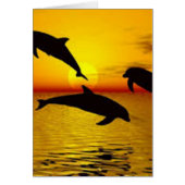 dolphin cards (Front)