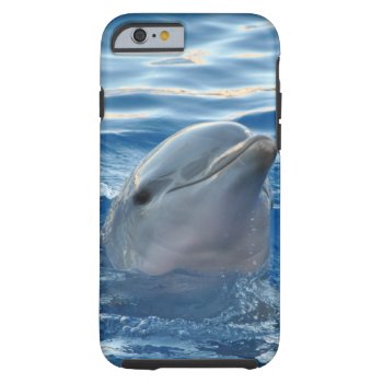 Dolphin Tough Iphone 6 Case by Wonderful12345 at Zazzle