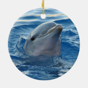 Dolphin Ceramic Ornament