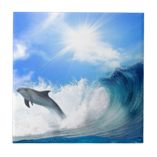 Dolphin Ceramic Tile