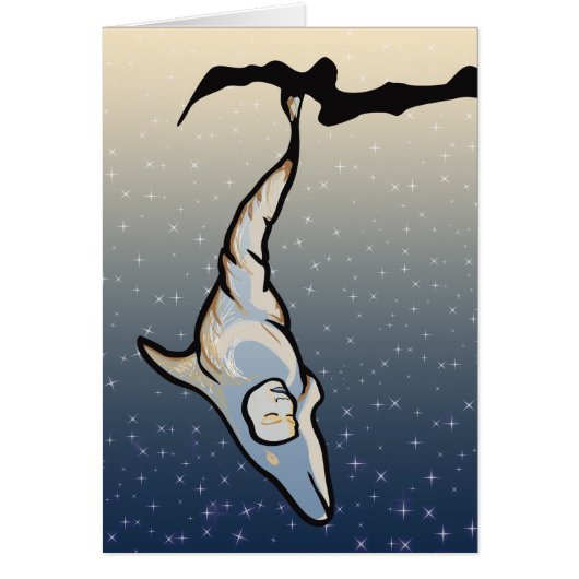 dolphin cocoon cards (Front)