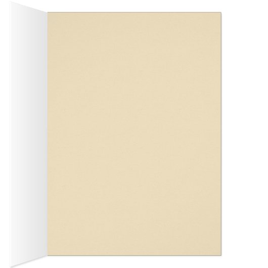 dolphin cocoon cards (Inside (Right))