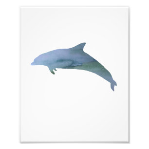 Dolphin Colorful Watercolor Photo Print
