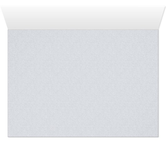 Dolphin Day (Inside Horizontal (Bottom))