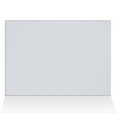 Dolphin Day Cards (Inside Horizontal (Top))