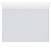 Dolphin Day Cards (Inside Horizontal (Bottom))