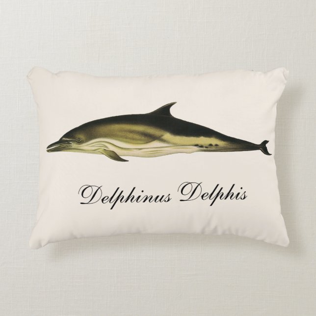 Dolphin Delphinus Delphis, Vintage Marine Animals Accent Pillow (Front)