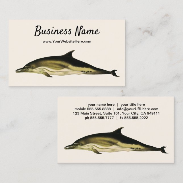 Dolphin Delphinus Delphis, Vintage Marine Animals Business Card (Front/Back)