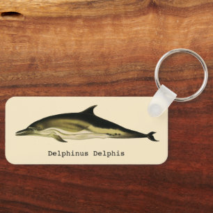 Dolphin Delphinus Delphis, Vintage Marine Animals Keychain