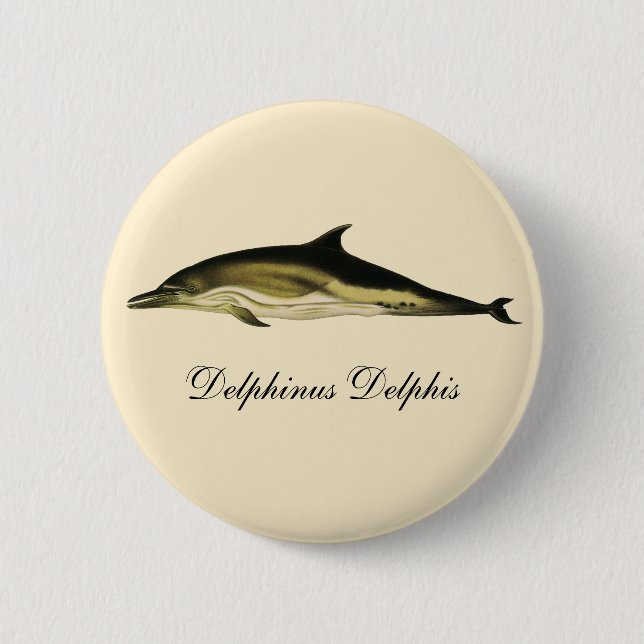 Dolphin Delphinus Delphis, Vintage Marine Animals Pinback Button (Front)