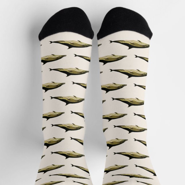 Dolphin Delphinus Delphis, Vintage Marine Animals Socks (Top)