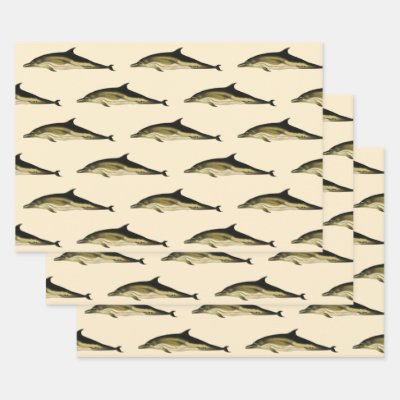 Dolphin Delphinus Delphis, Vintage Marine Animals Wrapping Paper Sheets
