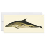 Dolphin Delphinus Delphis, Vintage Marine Mammals