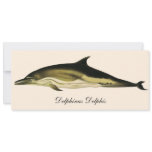 Dolphin Delphinus Delphis, Vintage Marine Mammals