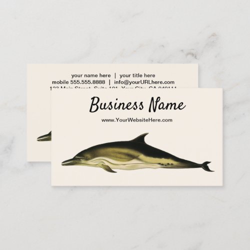 Dolphin Delphinus Delphis Vintage Marine Mammals  Business Card