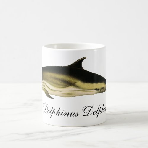 Dolphin Delphinus Delphis Vintage Marine Mammals  Coffee Mug