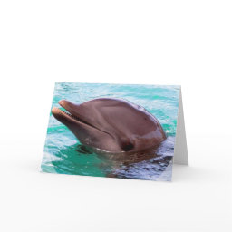 Dolphin Design Greeting Card