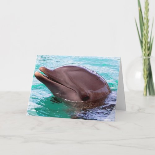 Dolphin Design Greeting Card