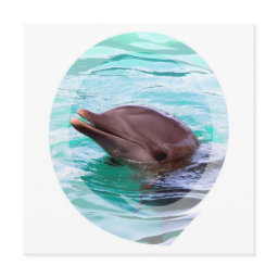 Dolphin Design Invitations