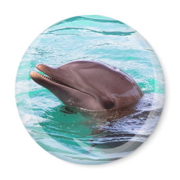 Dolphin Design Magnet