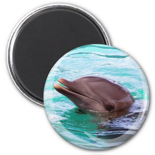 Dolphin Design Magnet